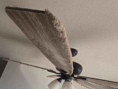 fan-before